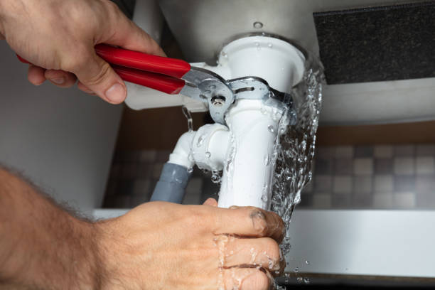 Best Carpet water damage restoration  in Forest Hills, PA
