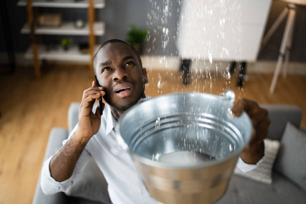 Best Water damage restoration process  in Forest Hills, PA