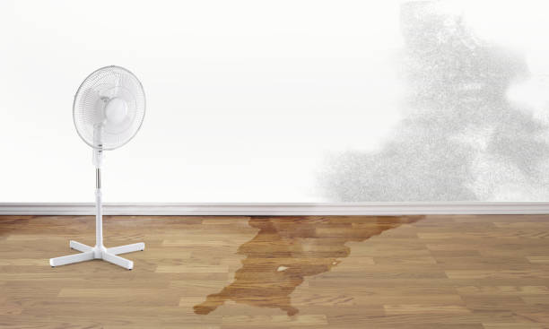 Best 24-hour water damage restoration  in Forest Hills, PA