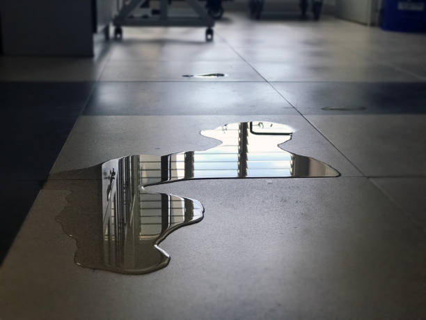 Best Water damage contractors near me  in Forest Hills, PA
