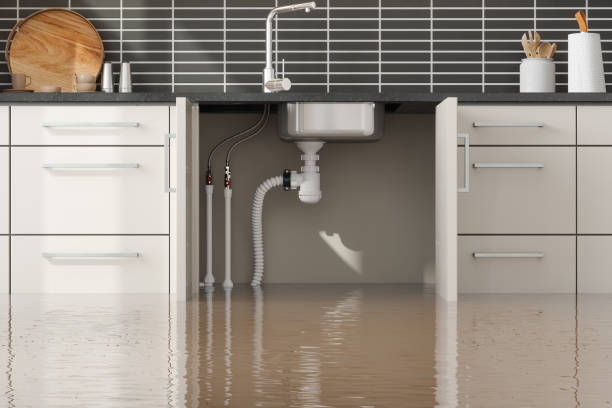 Best Flood damage cleanup  in Forest Hills, PA